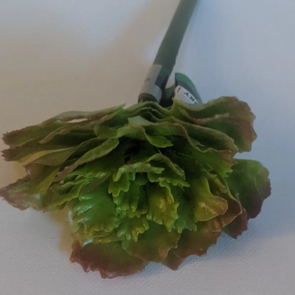 NWT Ashland 2 Spiky Tropical Cabbage Succulent Stems Faux Floral Decor Michael's